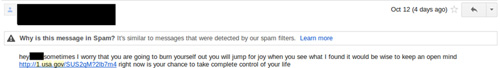 Sample spam message