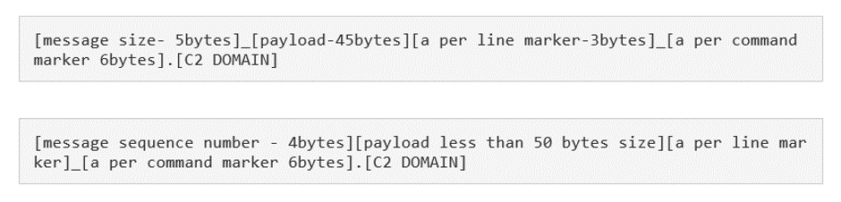 Figure 6. Format of ForeLord DNS requests.