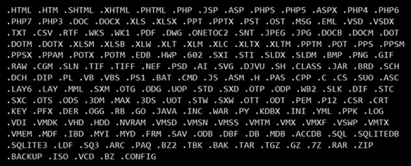 Figure 8. Extensions targeted by the WhisperGate file wiper.